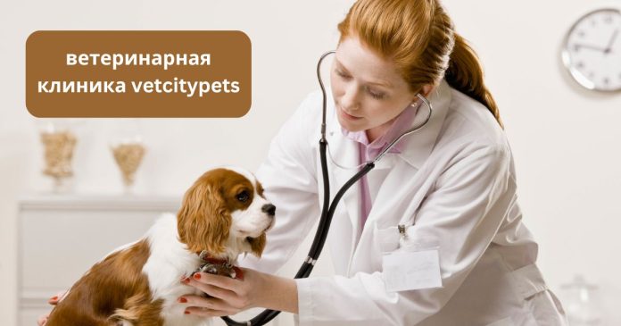 ветеринарная клиника vetcitypets